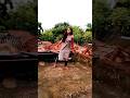 Upawala Apna Shortsvideo
