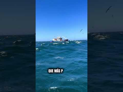 🎣 Más oportunidades para la pesca artesanal en Camarones. #chubut #pesca #camarones #patagonia