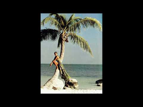 (FREE) ODEAL X JULS AFRO R&B TYPE BEAT - "MALIBU & PALMWINE"