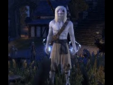 BLADEMASTER STAMINA SORCERER PVP BUILD ESO