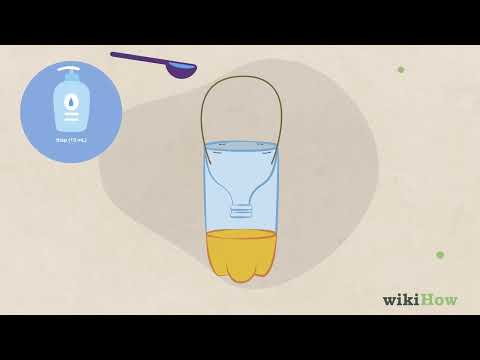 How to Make a Bee Trap