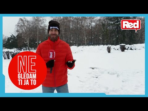 NGTJT - Savin na Košutnjaku - Beg od gradske gužve - 25.12.2024 - Red TV