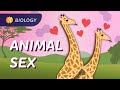 Sexual Asexual Reproduction How Animals Do It Crash Course Biology 47