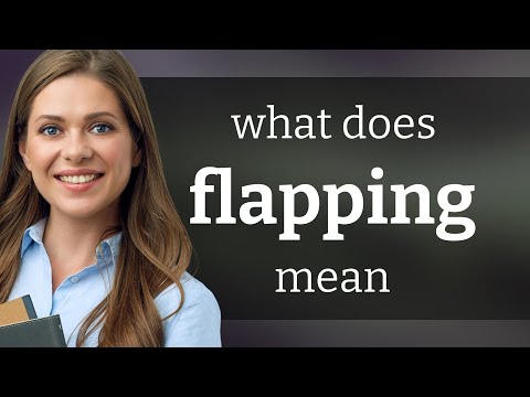 Flapping — definition of FLAPPING