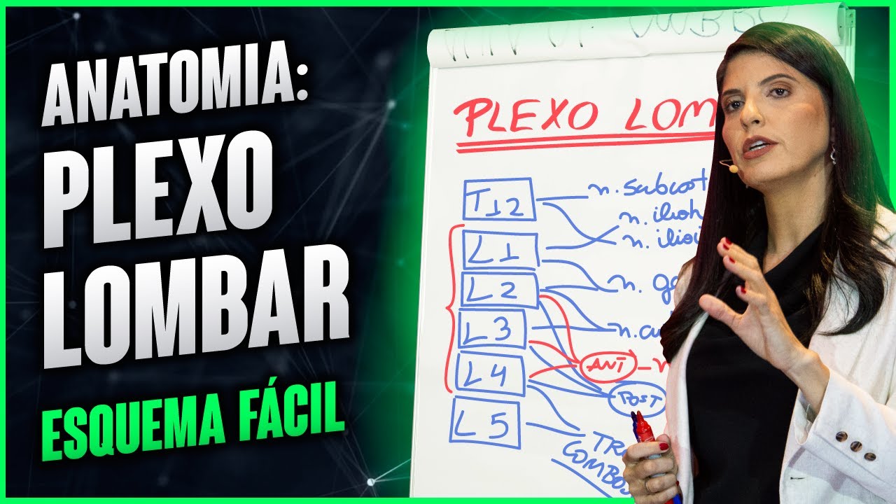 ANATOMIA: PLEXO LOMBAR (esquema fácil)  | Dra Walkyria Fernandes