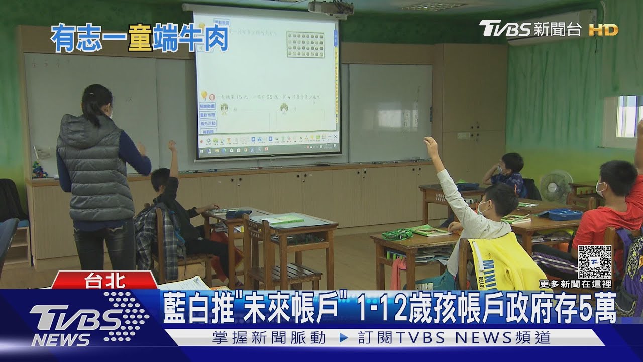 搶票? 藍白推「未來帳戶」 綠推「轉大人ETF」