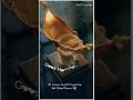 Ek Garam Chai Ki Pyaali Ho Instagram Lyrics Whatsapp Status Good Morning Full Screen Status