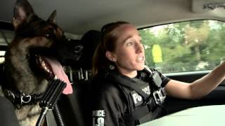 Gainesville PD: On Duty - January 2016 Episode