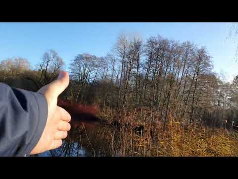 Viskan - Göta - Gamla reningsverket i Borås