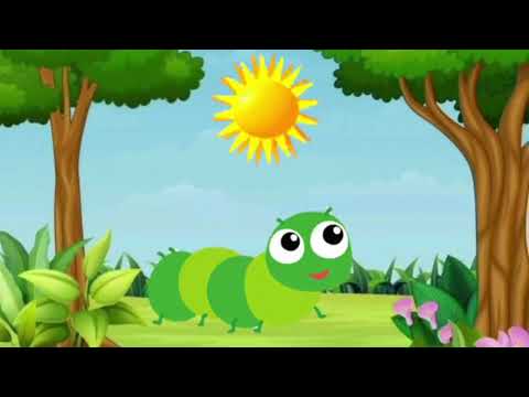 A Lagartinha Comilona- Eric Carle - História Infantil