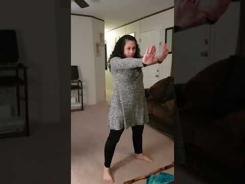 Practica de la cancion Me paro en la brecha. Danza por Fabriela