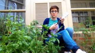 The Luckiest Guy On The Lower East Side -The Magnetic Field