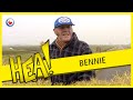 HEA! Bennie