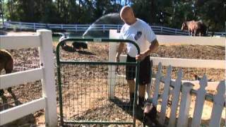 A Glimpse Inside A Chance for Bliss