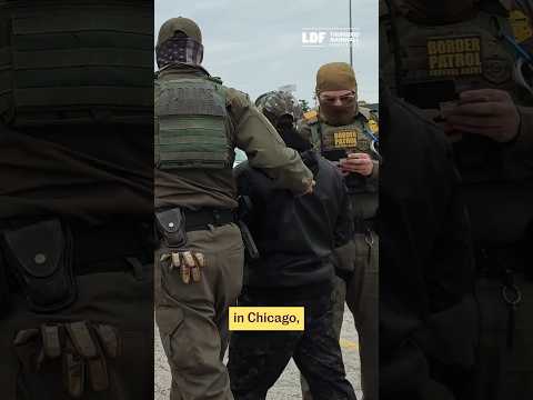 The Listcrawler Arrest 2024 Chicago Experts React