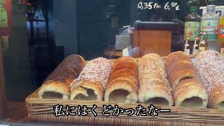ドイツ【つぐみ横丁】日本人に大人気！ほんとに可愛い街