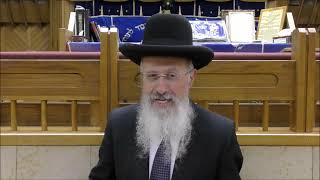 הרב אברהם יוסף שליט"א  דיני והלכות יום תענית אסתר תשפ"ב