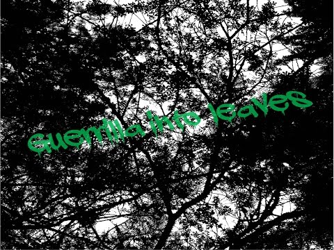 BROHUG vs Dimitri Vegas & Like Mike - Guerilla into leaves (Evan Krapster Mashup) [Original]