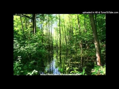 Radviliskio jaunimo choras - Tegul tavo ramybe