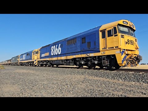 7731V PN down empty grainy (8166 8157 G523, 40H), Geelong to Dimboola, 1855, 25/1/26, Jung West VIC 