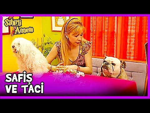 Taci ve Safiş Tanışıyor - Sihirli Annem 19. Bölüm