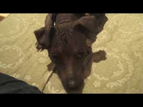 Xochitl "being cute"