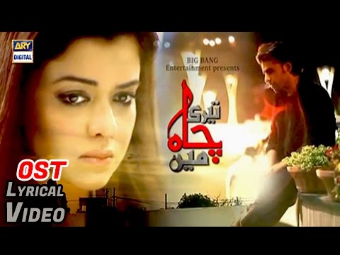 Teri Chah Main OST | Hua Kya Mujhe | Farhan Saeed | With Lyrics