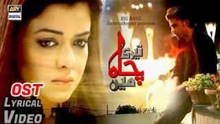 Teri Chah Main OST | Title Song By Farhan Saeed | With Lyrics