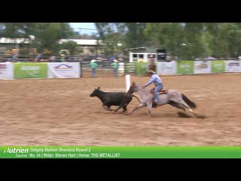 34 Steven Hart   THE METALLIST