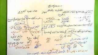 صورة 64 🔦 بصيرة كذلك  و