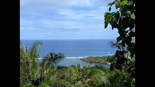 Roatan Honduras Island Tour