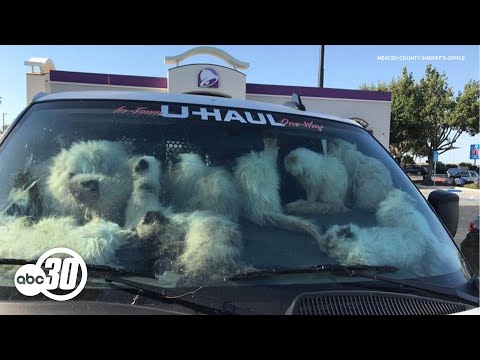 Uhaul Merced California