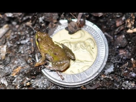 Kenilworth: Historic racecourse and wildlife haven