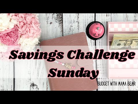 Savings Challenge Sunday | Every Little Bit Counts #budgeting #savingmoney