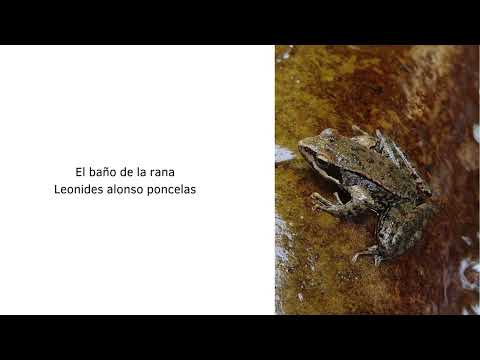 Vídeo VI CONCURSO DE FOTOGRAFÍA DE LA RESERVA DE LA BIOSFERA DE LOS ANCARES LEONESES 2023