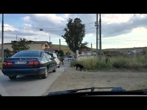 Treni regionali in transito al passaggio a livello della stazione di Raddusa.