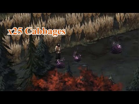 Fuk's Wild Cabbage Hunt - Vampire's Fall 2