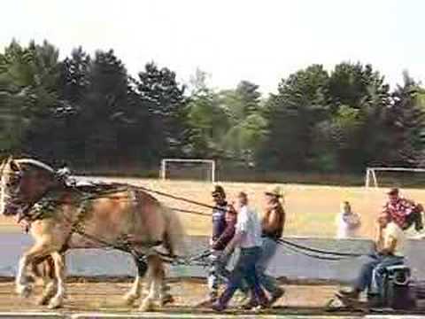 Horse Pull, Washington County Fair 080307