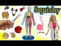 Squishy Human Anatomy With Scientist Teacher Student Video
