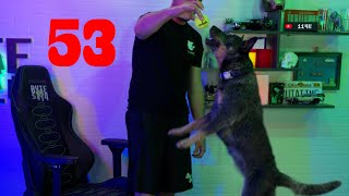 Jason Bytes Back Ep. 53 - No more dog, JR has too many screens