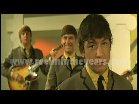 The Animals • “The House Of The Rising Sun” • 1964 [Reelin' In The Years Archive]