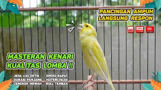 Download lagu Kenari GACOR NGEREK‼️ Masteran Kenari PAUD dan Pancingan Kenari MACET BUNYI dan Betina NGIWIR - 378 mp3 Download lagu Kenari GACOR NGEREK‼️ Masteran Kenari PAUD dan Pancingan Kenari MACET BUNYI dan Betina NGIWIR - 378 mp3