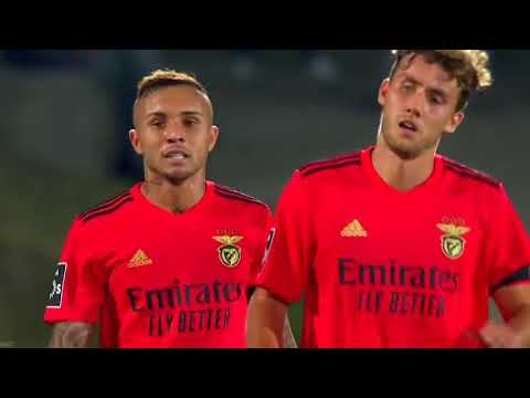 Darwin Núñez ● Benfica ► Season Goals and Assists   HD