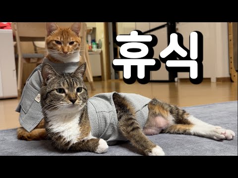 잠시 쉬다 오겠습니다