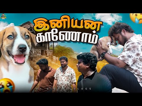 தங்கபுள்ளய தொலைச்சிட்டோம் 🐶💔😭| Vj Siddhu Vlogs
