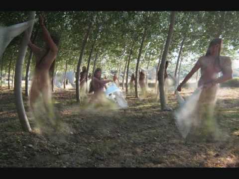 ICAROS. CHIRIC SANANGO. JACQUES MABIT. TAKIWASI