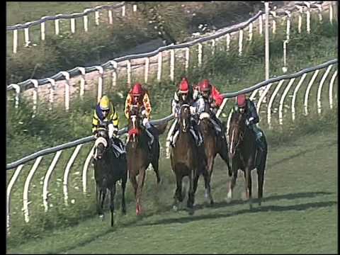 Galoppo 15/07/2015 - 1° corsa