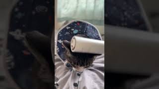 コロコロマッサージ