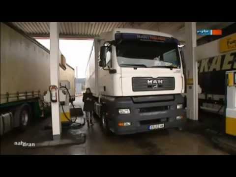 Tigerliebe Carmen Zander