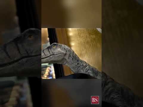 Don't choose extinction. Save your species before it's too late, says Frankie, the Dinosaur